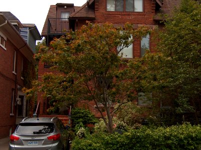 Howland Avenue 72 20171011