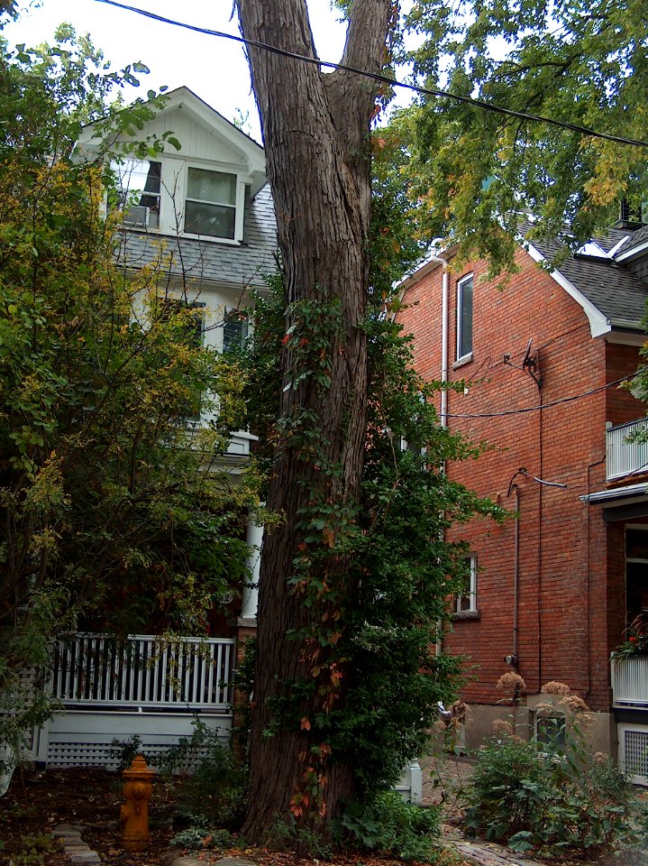 Howland Avenue 42 20171011