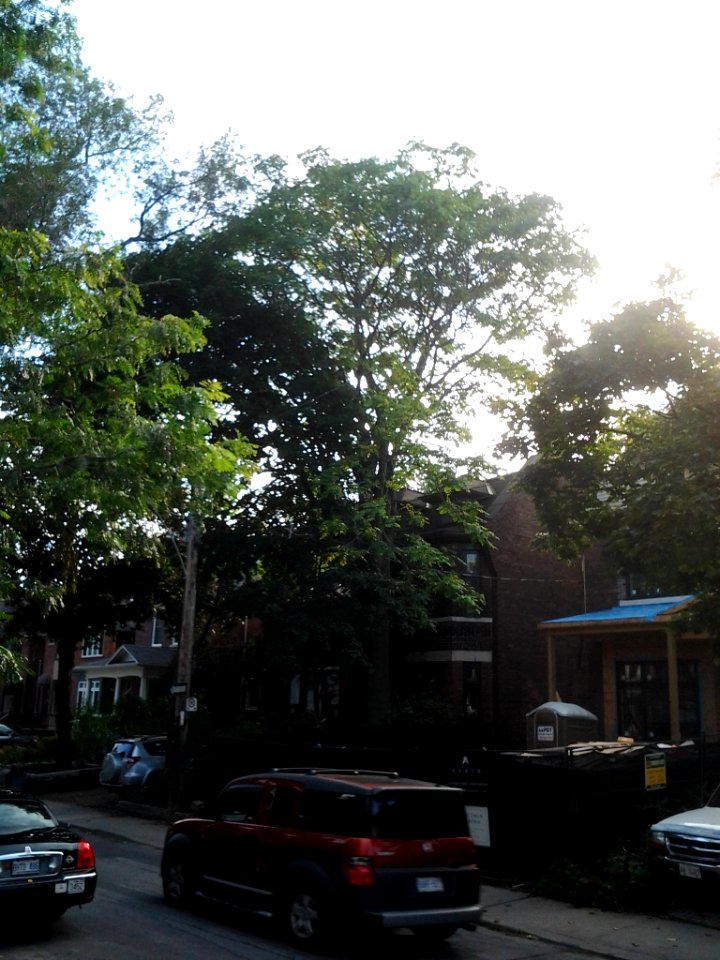 Howland Avenue 220 20171011