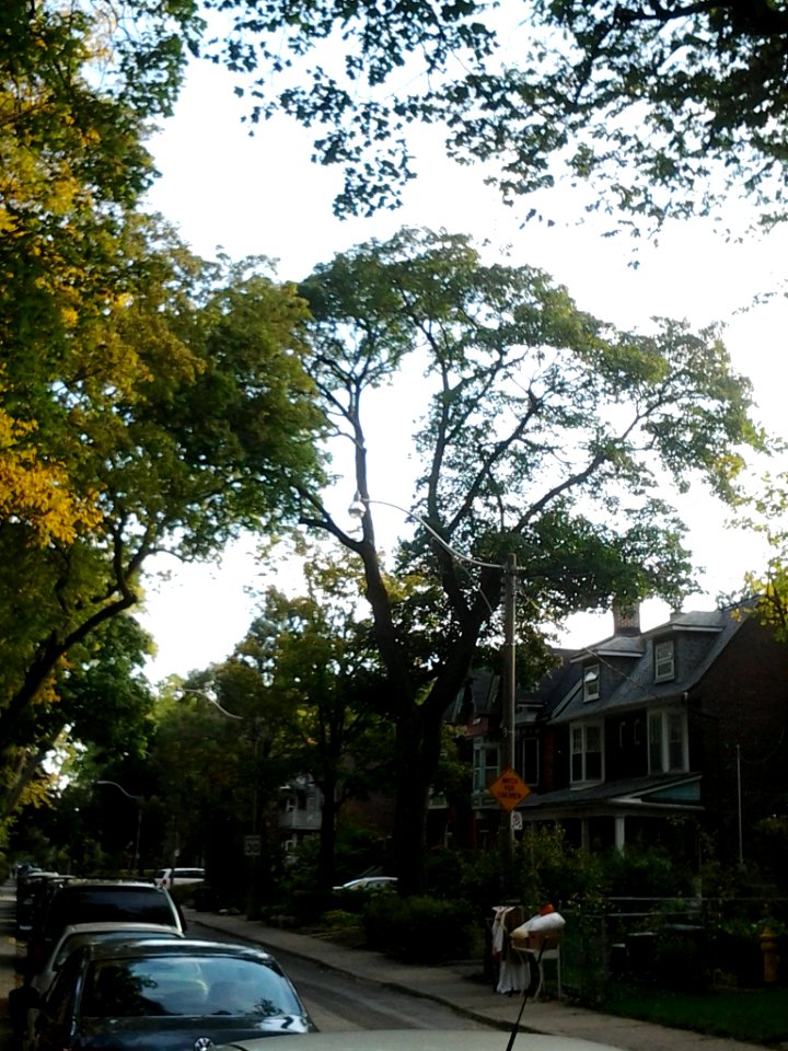 Howland Avenue 174 20171011