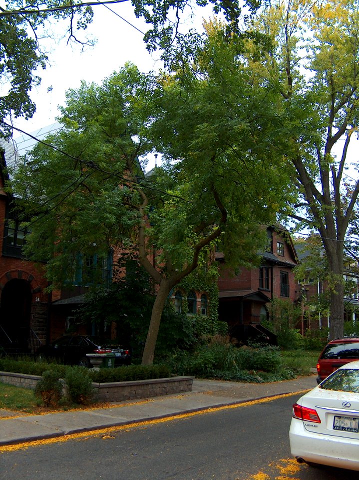 Howland Avenue 58 20171011