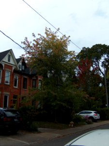 Howland Avenue 28 20171011