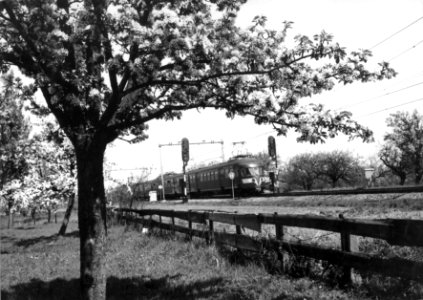 HUA-151014-Afbeelding van een electrisch treinstel mat 1946 van de NS in een landschap met bloeiende bomen ter hoogte Geldermalsen