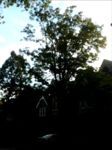 Howland Avenue 170 20171011