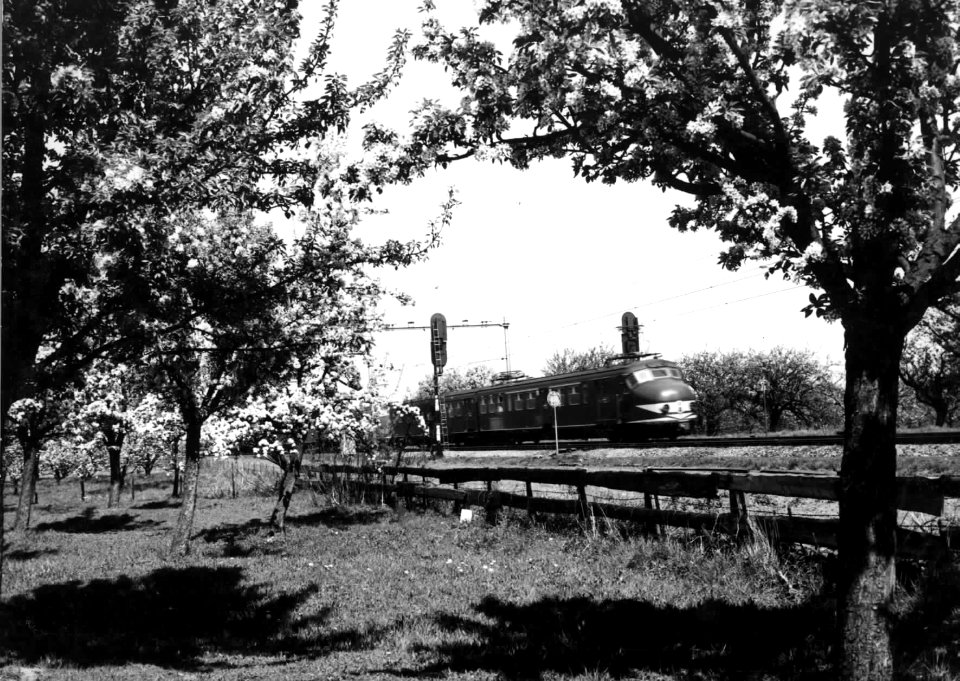 HUA-151018-Afbeelding van een electrische treinstel mat. 1954 van de N.S. in een bomenlandschap ter hoogte van Geldermalsen