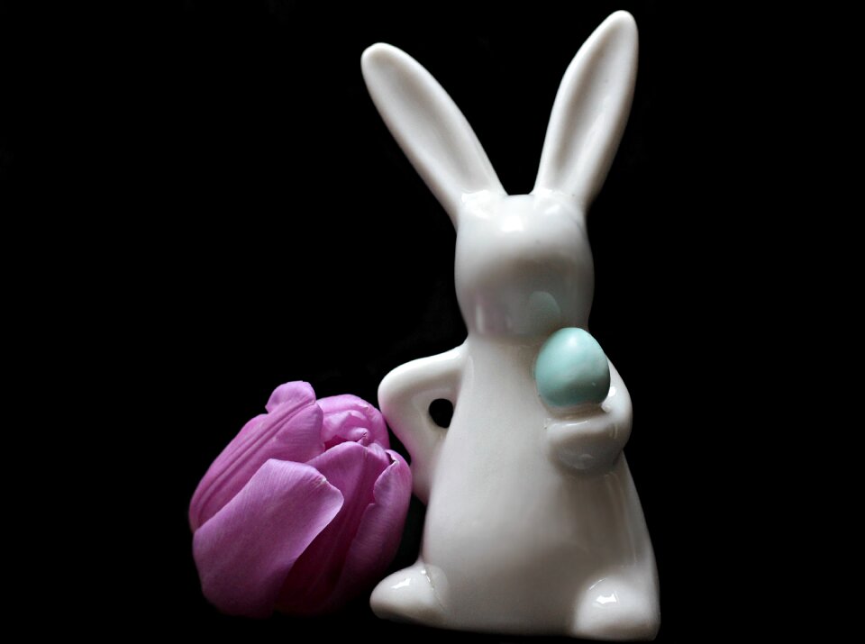 Easter bunny tulpenbluete tulip head