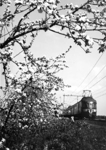HUA-151013-Afbeelding van een electrisch treinstel mat. 1946 van de N.S. in een landschap met bloeiende bomen ter hoogte van Geldermalsen