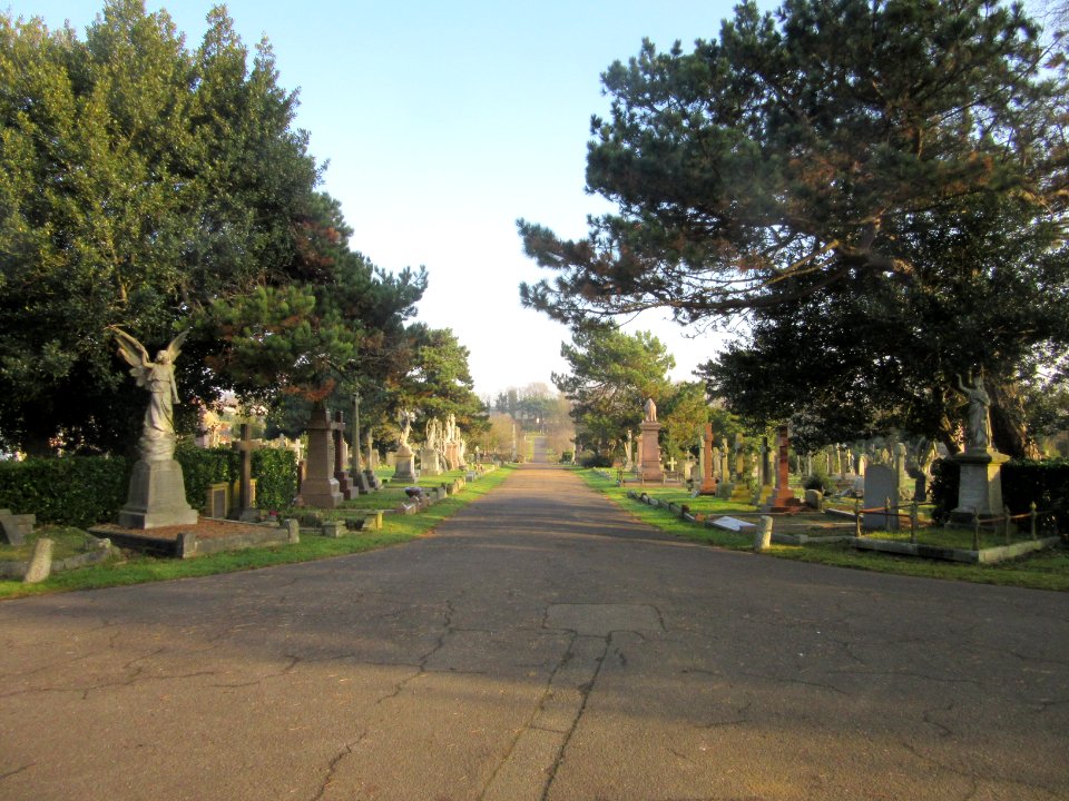 Hove Cemetery, Old Shoreham Road, Hove (December 2016) (9)