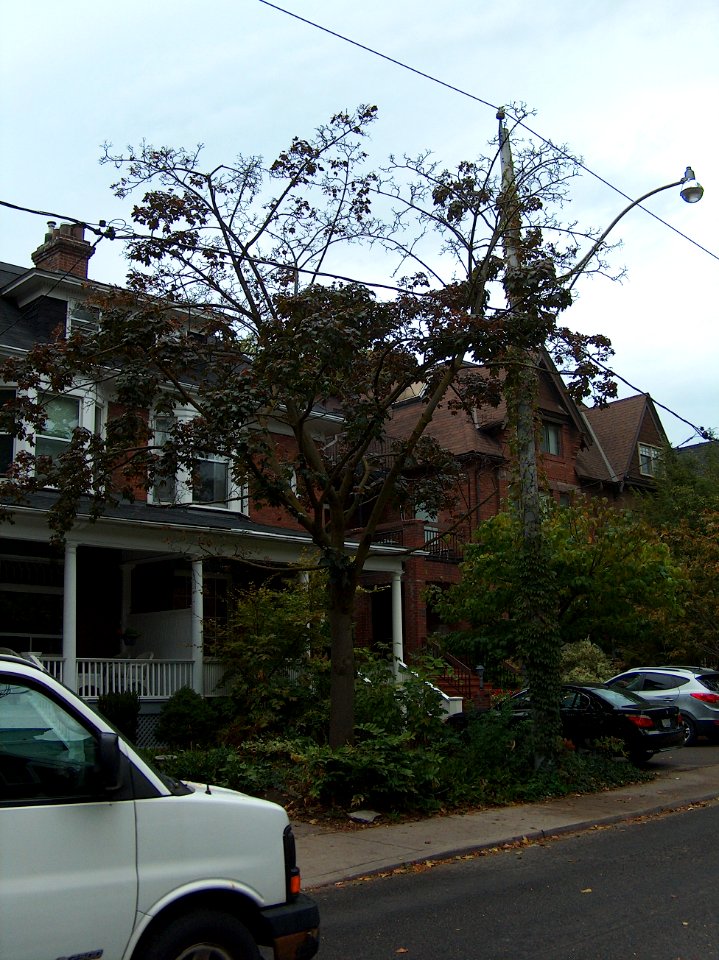Howland Avenue 68 20171011