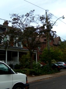 Howland Avenue 68 20171011