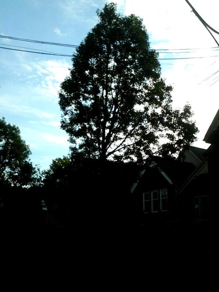 Howland Avenue 166 20171011