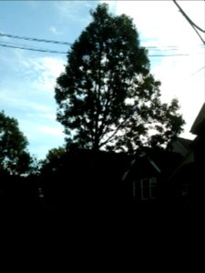 Howland Avenue 166 20171011