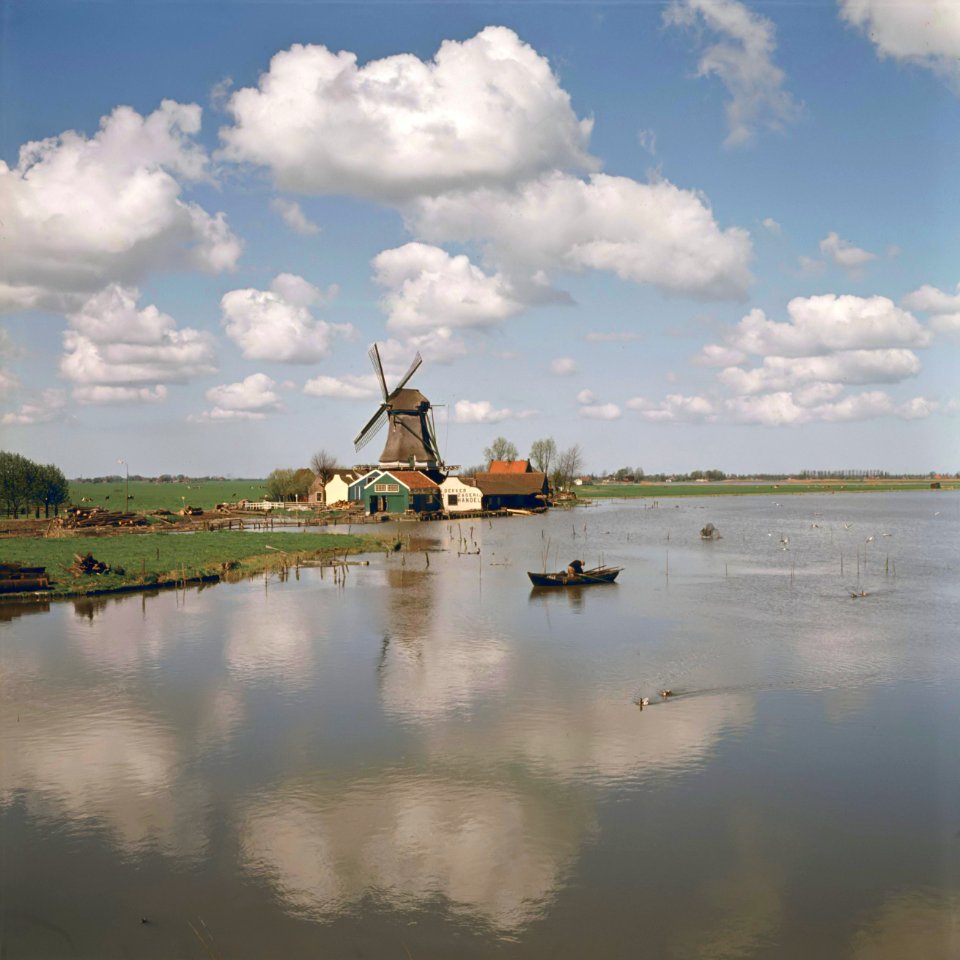 Houtzaagmolen De Vriendschap bij Monnickendam (1960)