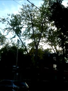 Howland Avenue 152 20171011