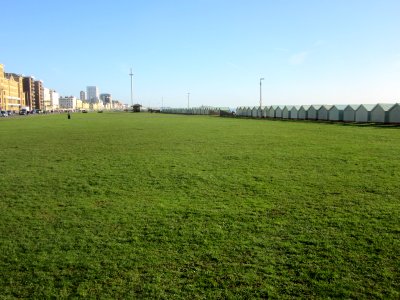 Hove Lawns, King's Esplanade, Hove (January 2017) (3)