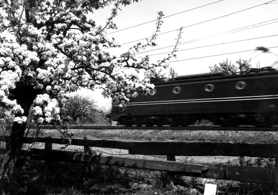HUA-151012-Afbeelding van een voorbijsnellende electrische locomotief uit de serie 1300 van de N.S. in een landschap met bloeiende boom ter hoogte van Geldermalsen