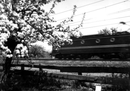 HUA-151012-Afbeelding van een voorbijsnellende electrische locomotief uit de serie 1300 van de N.S. in een landschap met bloeiende boom ter hoogte van Geldermalsen