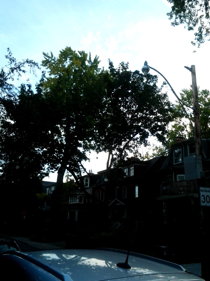 Howland Avenue 142 20171011