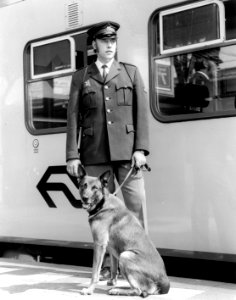 HUA-171701-Portret van een agent van de spoorwegpolitie van NS met een politiehond op een perron