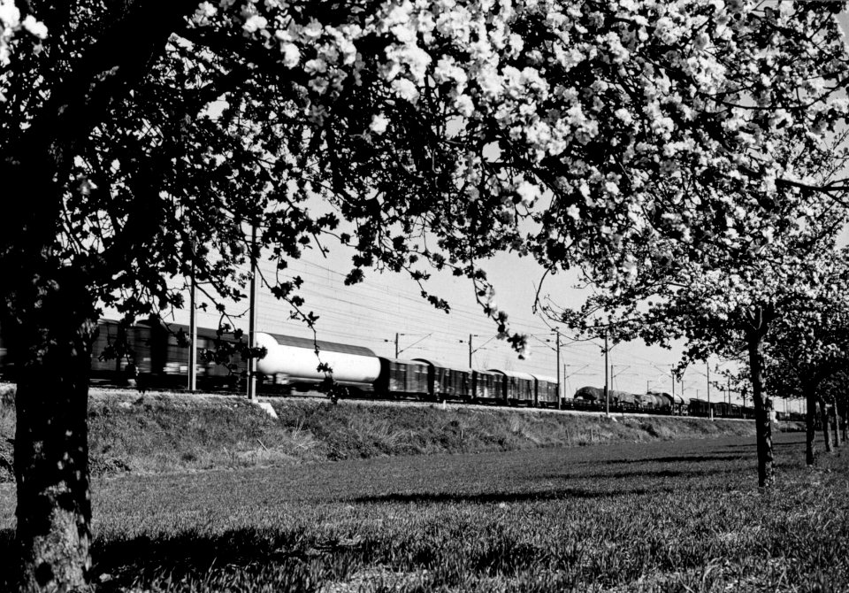 HUA-159920-Afbeelding van een passerende goederentrein in een landschap met bloeiende bomen ter hoogte van Geldermalsen