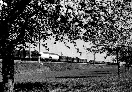 HUA-159920-Afbeelding van een passerende goederentrein in een landschap met bloeiende bomen ter hoogte van Geldermalsen