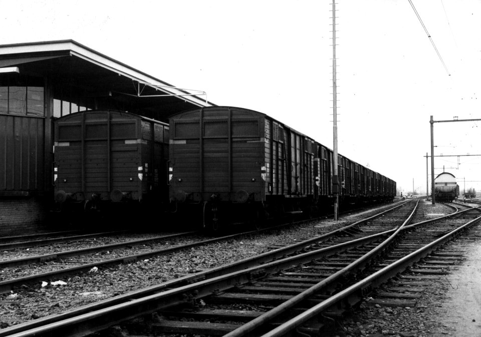 HUA-159882-Afbeelding van gesloten goederenwagens ("geelbanders") van de N.S. voor het vervoer van stukgoederen bij de loods van Van Gend & Loos te Zutphen