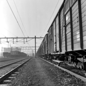 HUA-159863-Afbeelding van gesloten goederenwagens op het goederenemplacement van de N.S. te Eindhoven