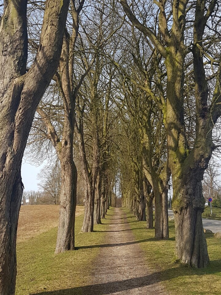 Sierksdorf avenue trail
