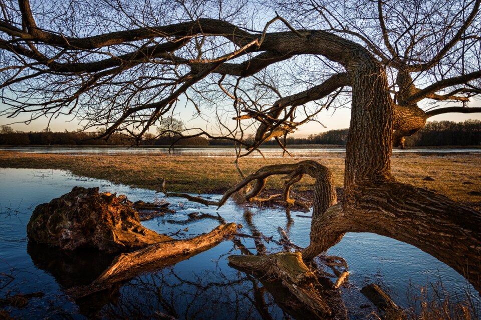 River current nature