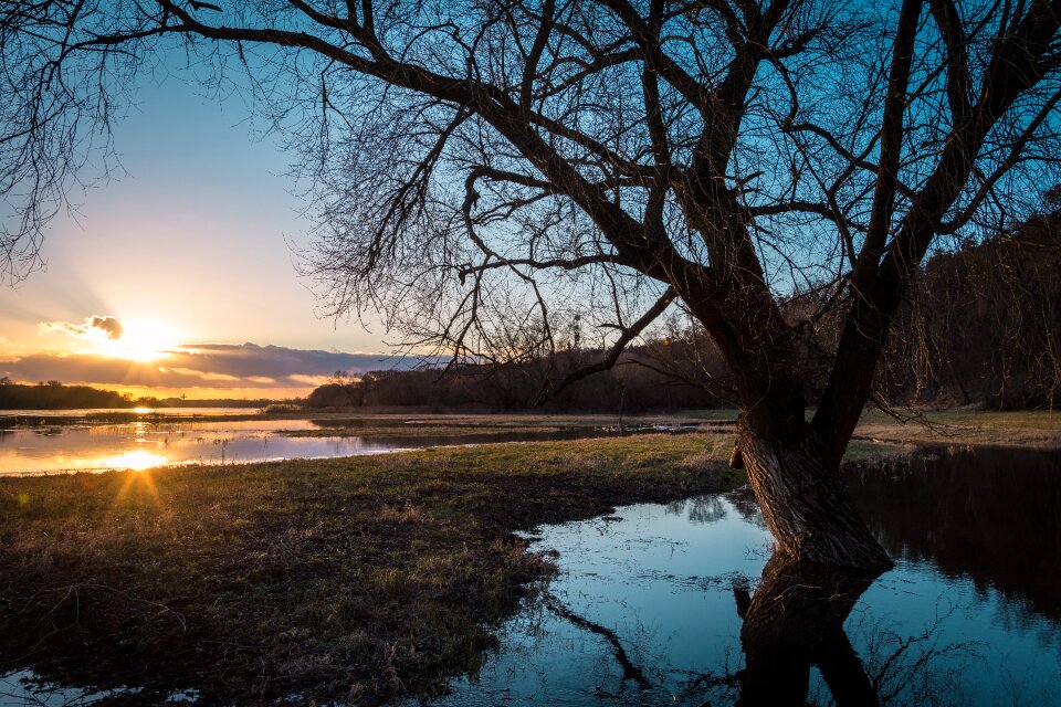 River current nature