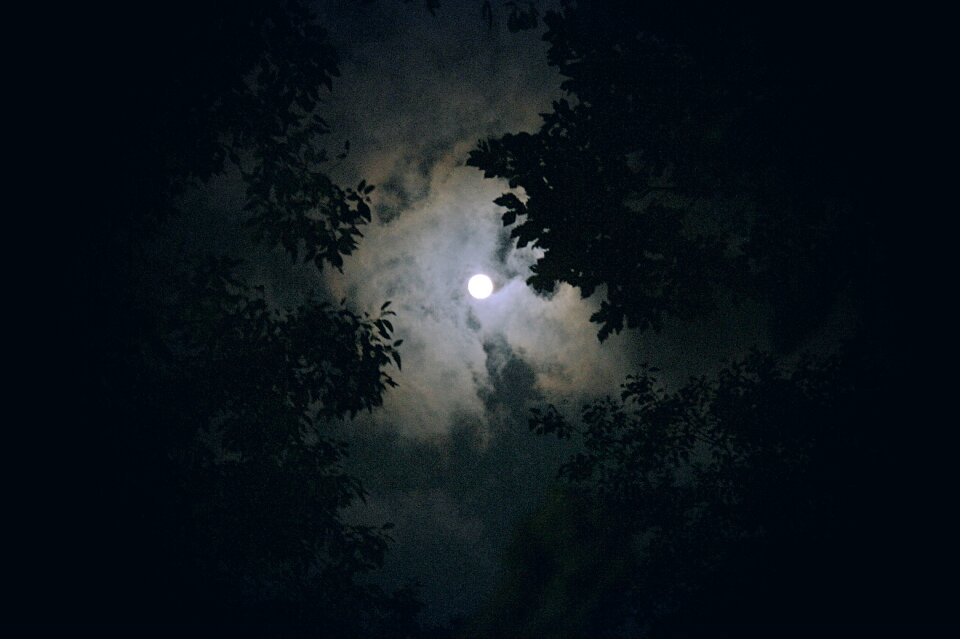 Night sky in the evening