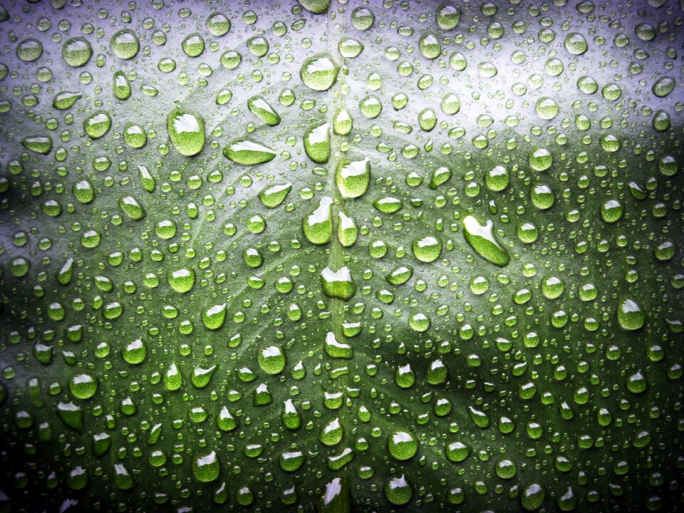 Drop background natural