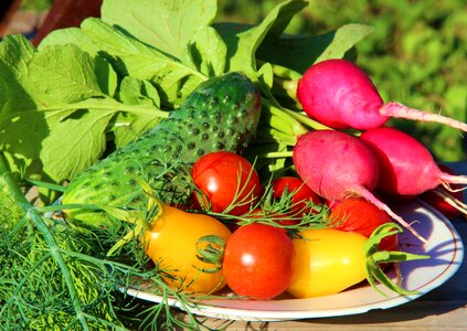 Greens nutrition plate