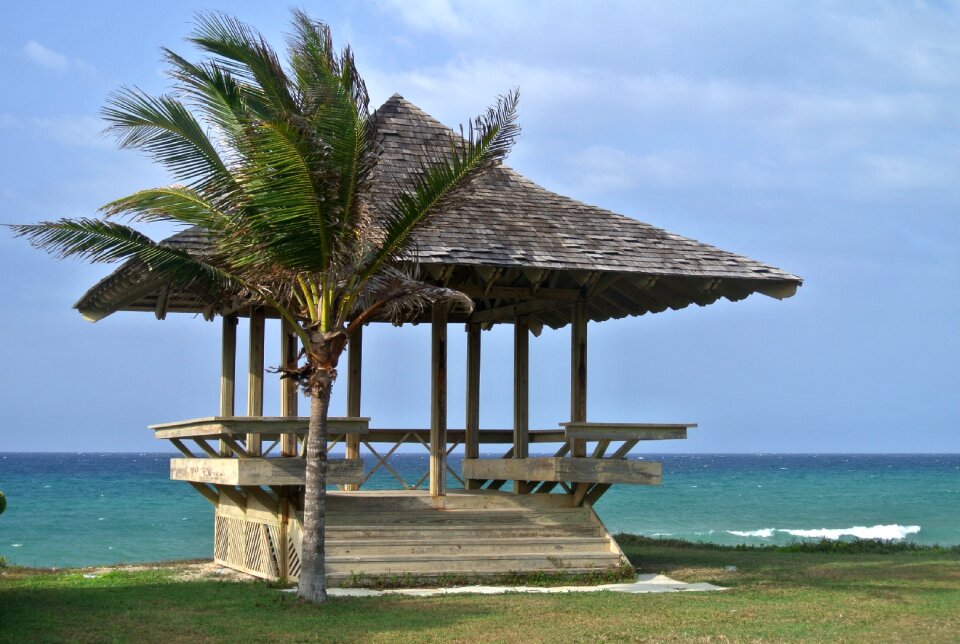 Caribbean palm sea