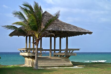 Caribbean palm sea