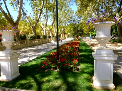 Huesca - Parque Miguel Servet 05