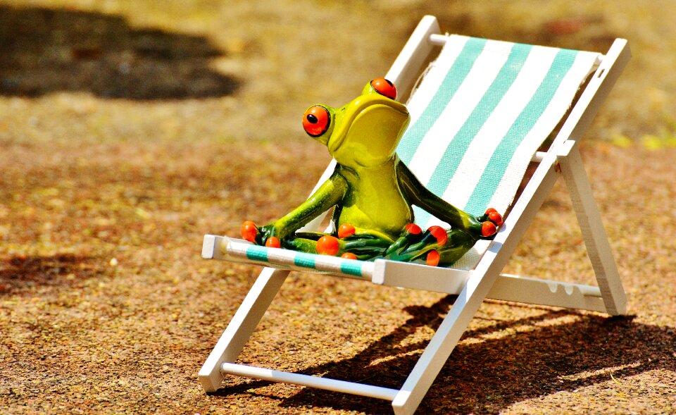 Summer sun relaxation