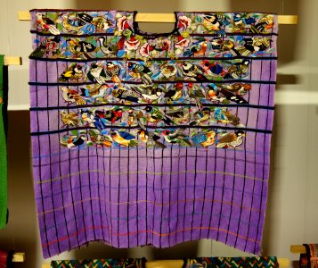 Huipil, Tz'utujil Maya, Santiago Atatlan, late 20th century, view 1, cotton - Textile Museum of Canada - DSC01075