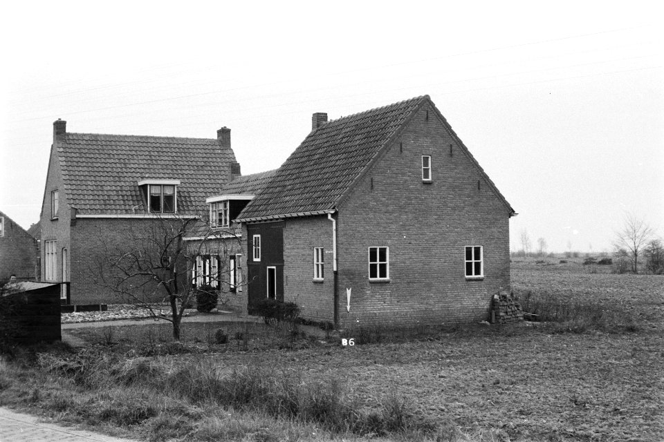 Huis aan de Nieuweweg te Baarland (ruilverkaveling Ellewoutsdijk), Bestanddeelnr 170-1806
