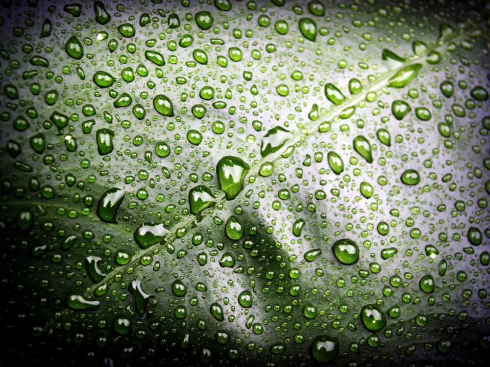 Drop background natural