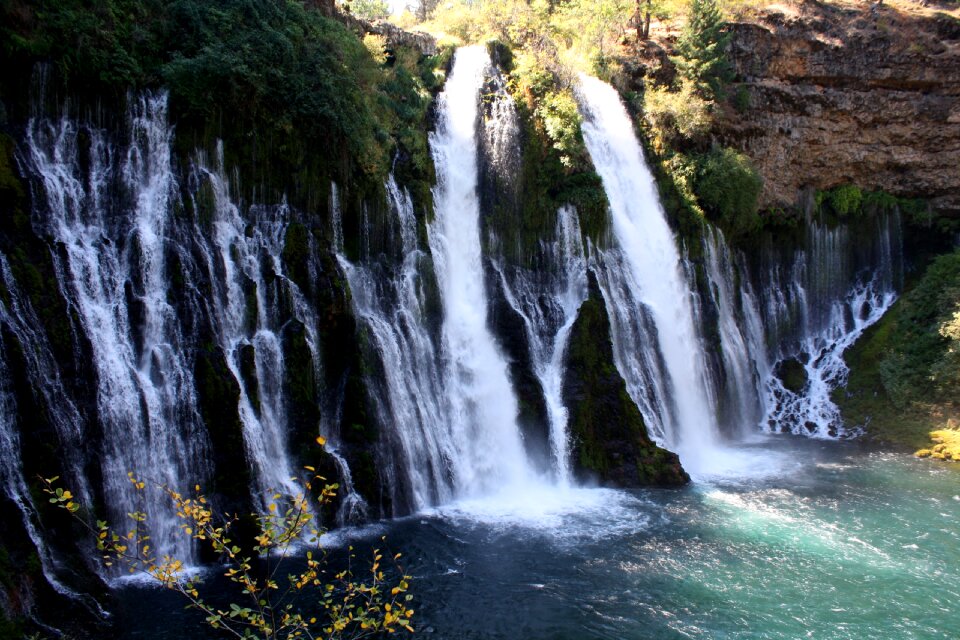 Water forest travel