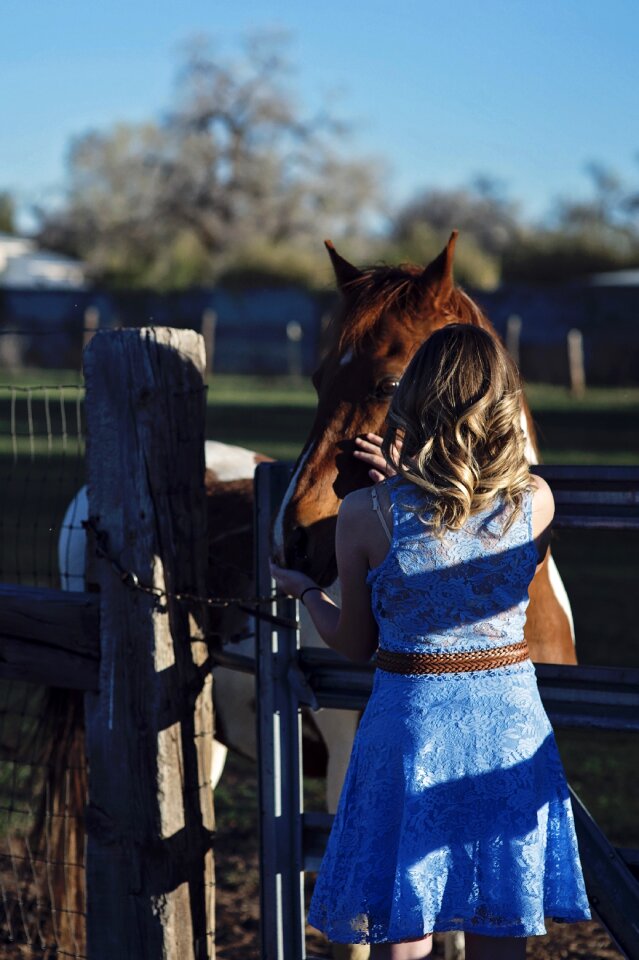 Rural country horseback