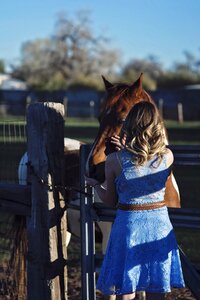 Rural country horseback photo