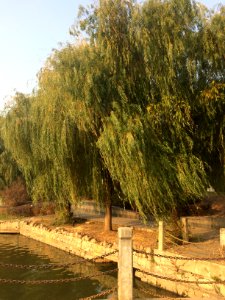 Huanhu Road, Hunan Institute of Science and Technology, picture7
