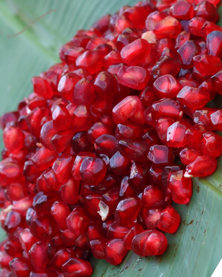 Food healthy red