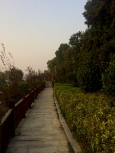 Huanhu Road, Hunan Institute of Science and Technology, picture8