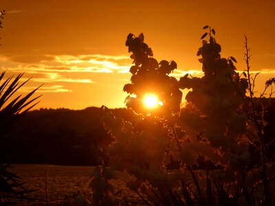 Abendstimmung evening vacations