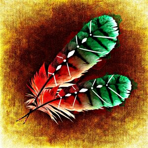 Abstract plumage colorful
