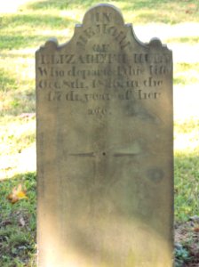 Huey (Elizabeth), Bethel Cemetery, 2015-10-15, 01