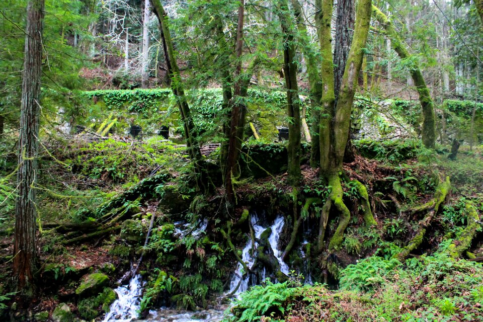 Nature park landscape